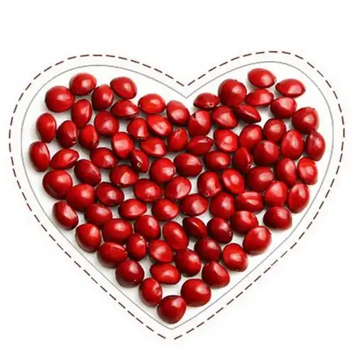 天然红豆菩提子相思豆原籽海红豆手串手链血菩提玲珑骰子安红豆