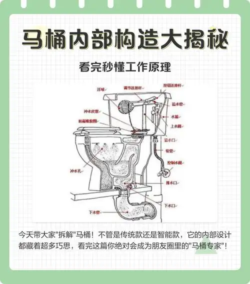 🚽马桶内部构造大揭秘!看完秒懂工作原理✨