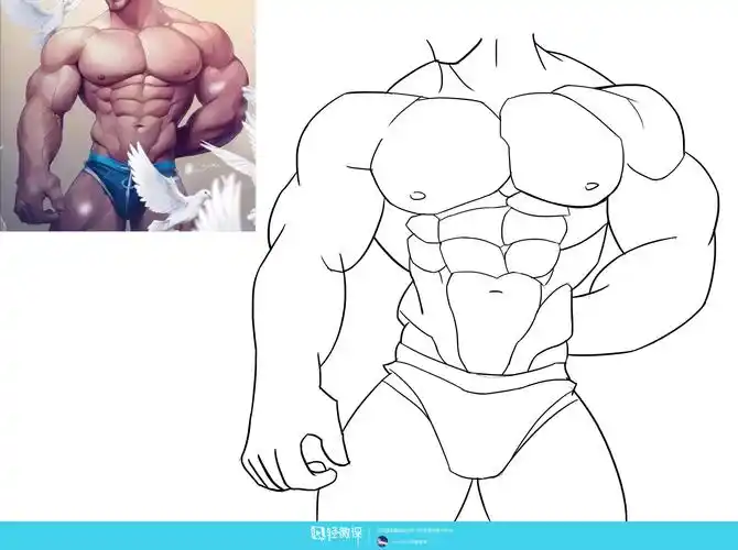 作业:如何学画手绘动漫人物之男性肌肉画法与训练技巧 - gf-29-090