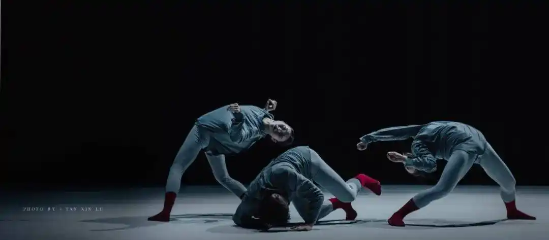 谢欣舞蹈剧场新锐新作《四相》开票|一场演出,四位编导,四个作品_合作