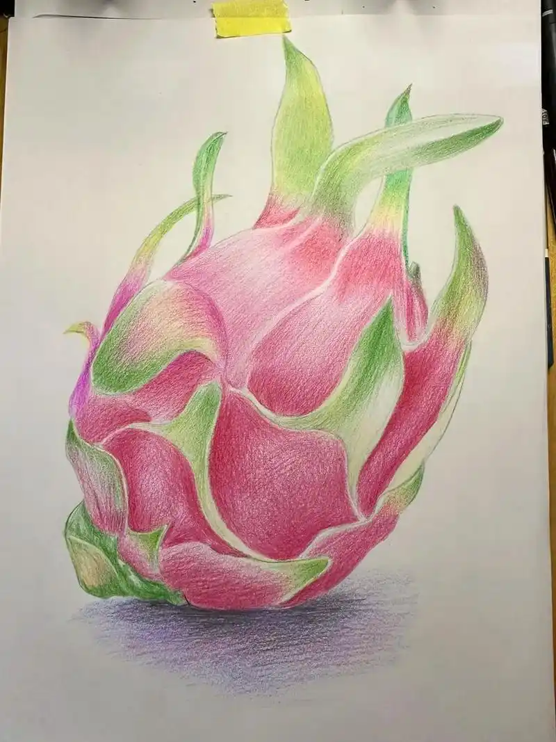 入门彩铅#零基础学画画 #绘画 #一起 - 抖音