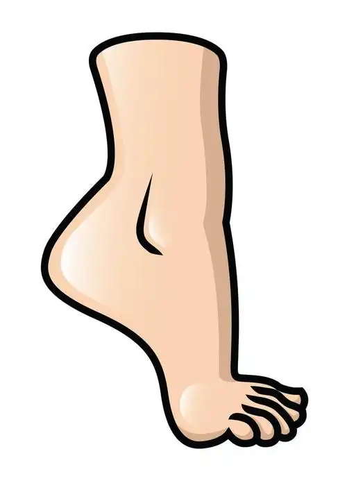 凸起的脚,凸起的卡通脚的插图.