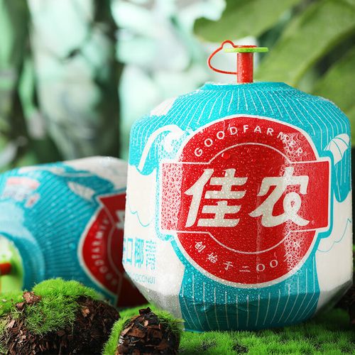 佳农易开椰泰国香水椰青易开口当季新鲜椰香水椰子奶香椰2粒