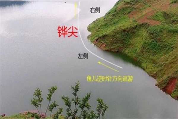 民间钓法中溜边钓的技巧分享_钓鱼百科 【爱钓网】