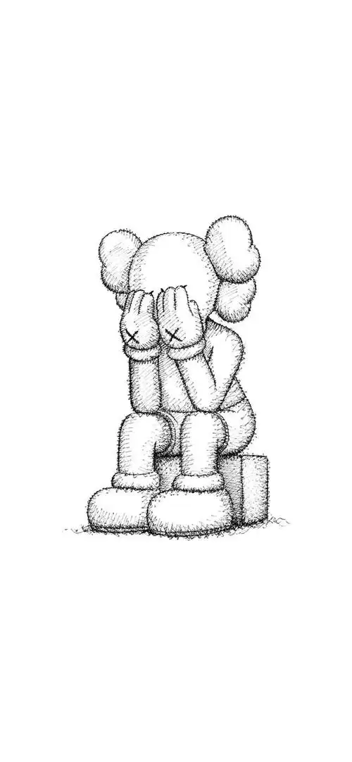 pidan|kaws