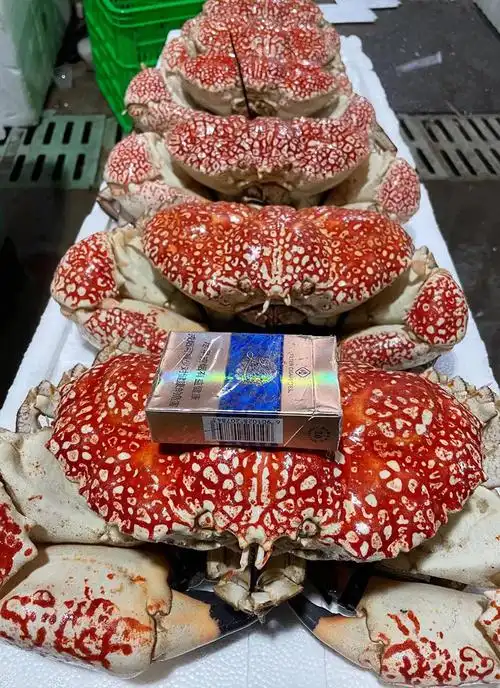 皇帝蟹帝王蟹冰鲜超大澳大利亚海鲜水产蟹鲜活速冻活冻皇帝蟹5-15斤