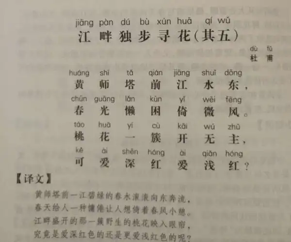 《江畔独步寻花(其五)》——唐.杜甫——黄师塔前江水东