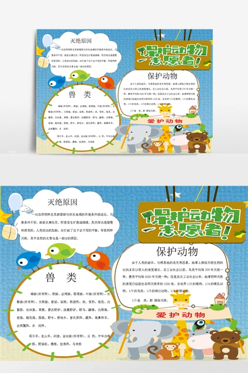 保护动物3小报手抄报模板