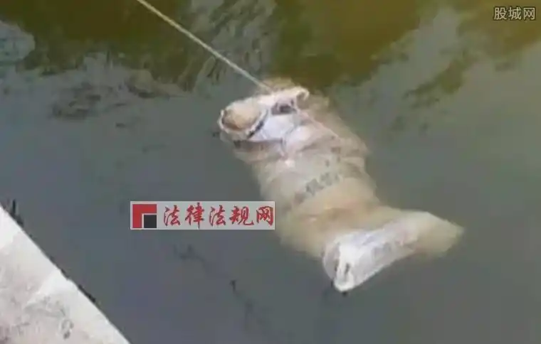 干渠惊现男女**尸 被*衣服后抛尸水中好吓人[热点]