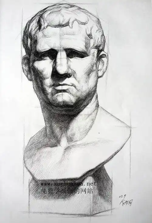 素描石膏像阿格里巴高清图片(5)
