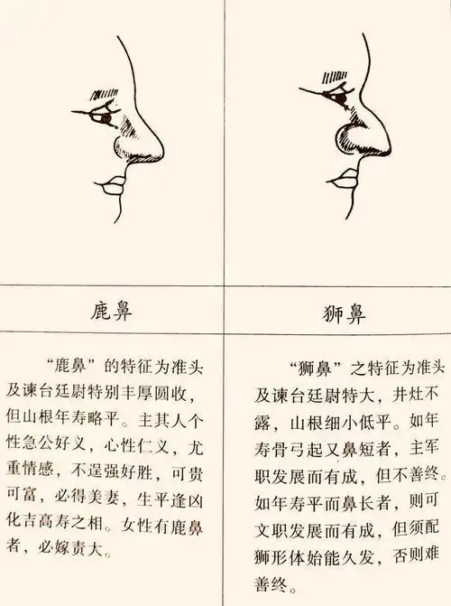 面相说:"问财在眼,问富在鼻"男为"妻星"女为"夫星"