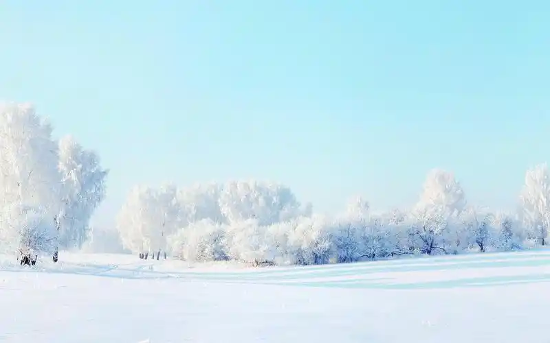 雪地壁纸图片
