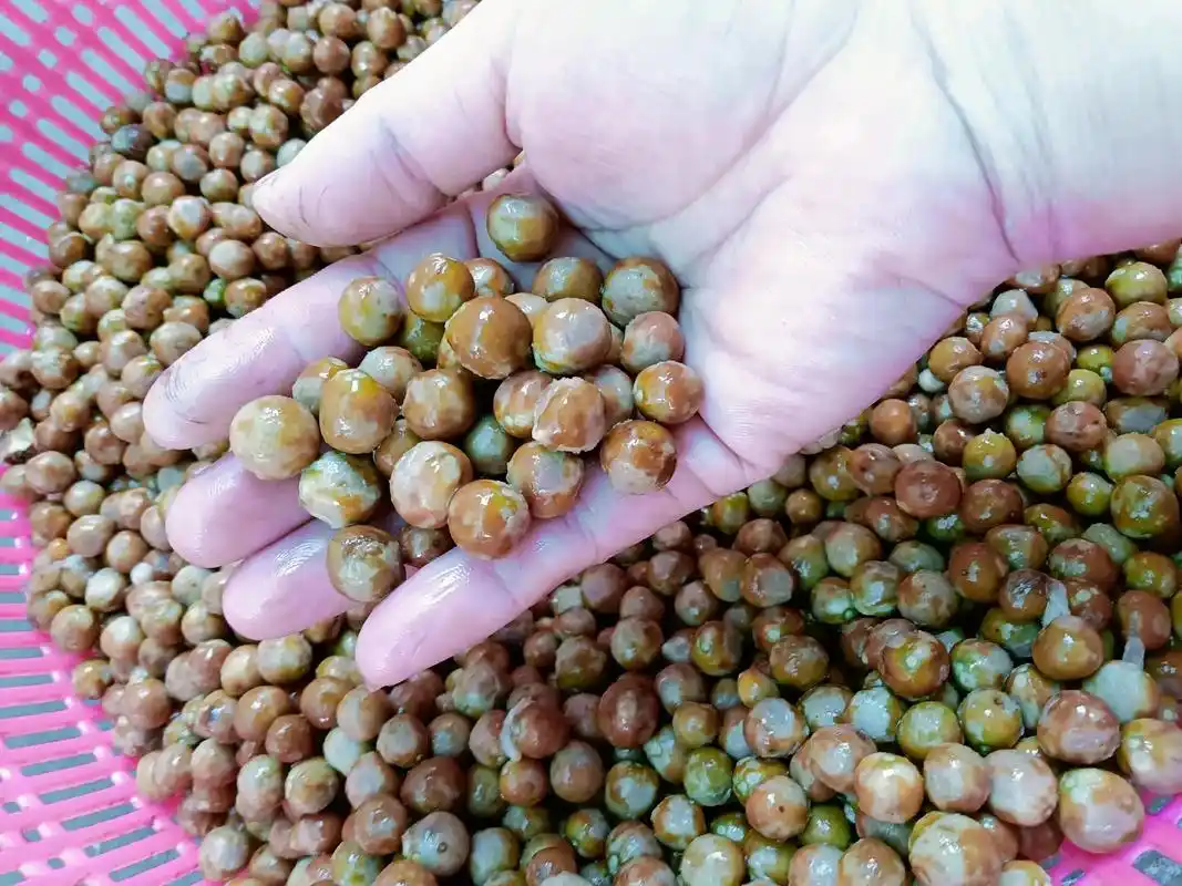 纯手工芡实,袪湿,补脾,美容三不误,口感好,怎么吃都不腻芡实 - 抖音