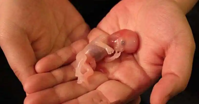 她是「民国第一才女」,总统秘书,白手起家成为富豪