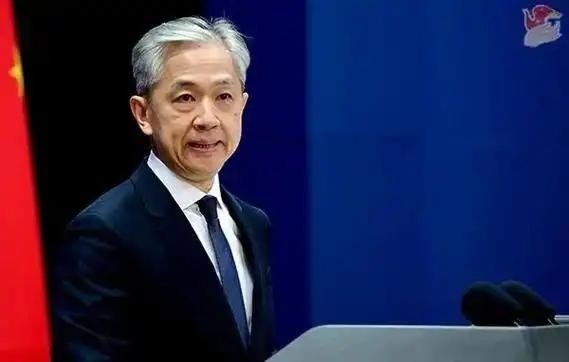 汪文斌资料图,来源:外交部官网