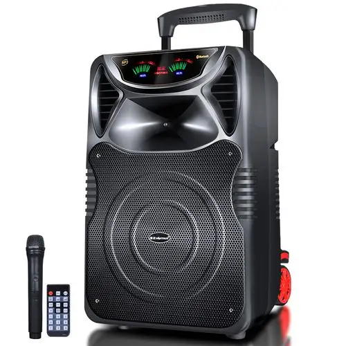 【试用体验】金正n28 广场舞音响怎么样,给个建议吧【大神选购】