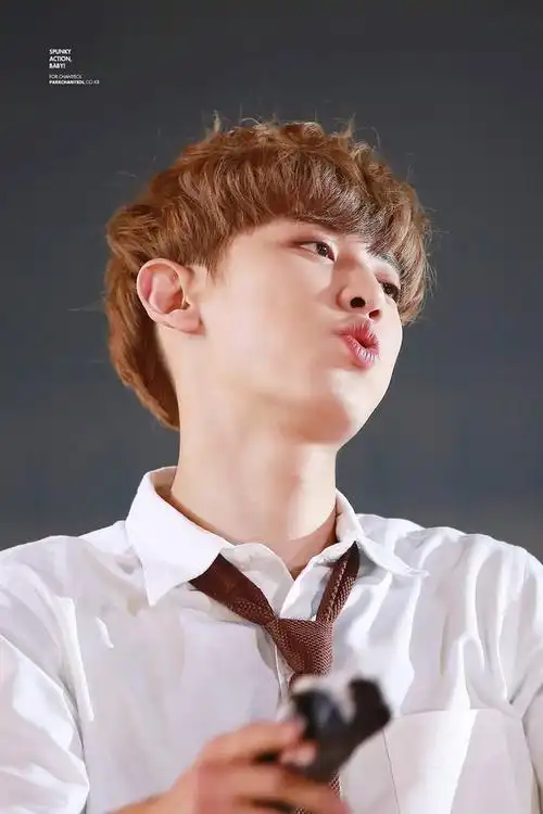 朴灿烈(park chan yeol)