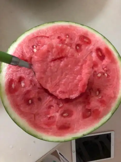 日常以前听过一句话愿意把西瓜最中间那勺给你吃的人都是爱你的人