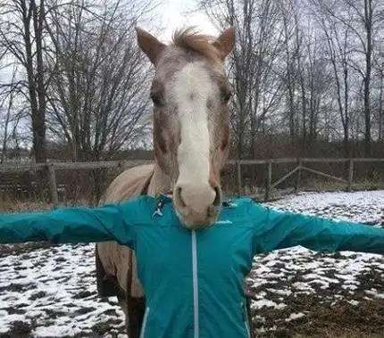 搞笑图片幽默段子哈哈谁把宝宝的脸涂成这样的也是可以的