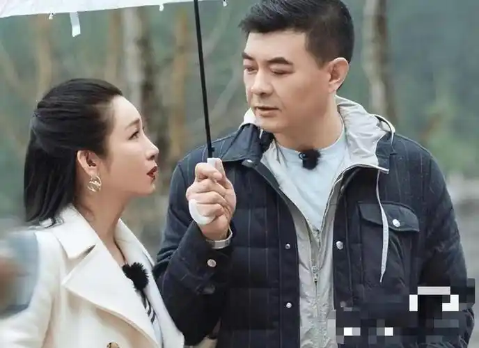 看见王新军对妻子cp态度才懂秦海璐为何自降身价也要嫁离异男