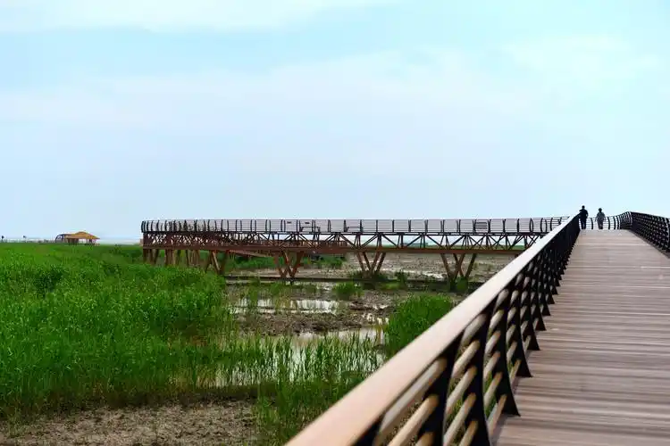 上海西沙湿地公园开放时间,门票价格-黄河票务网