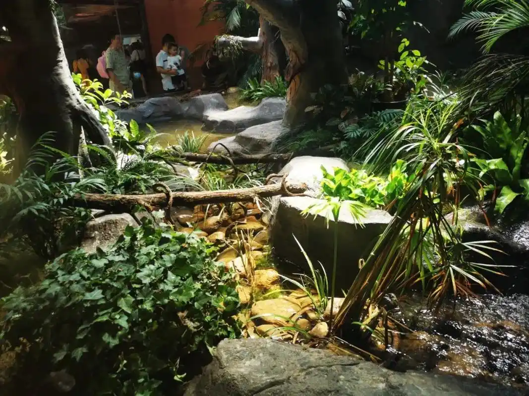 前期设计工作启动!上海动物园将再添一座两栖爬行馆