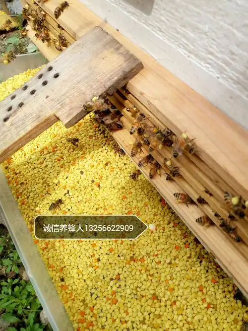 于家蜂场,咱们自己的农家蜂场,奉献给大家纯天然的蜂产品.