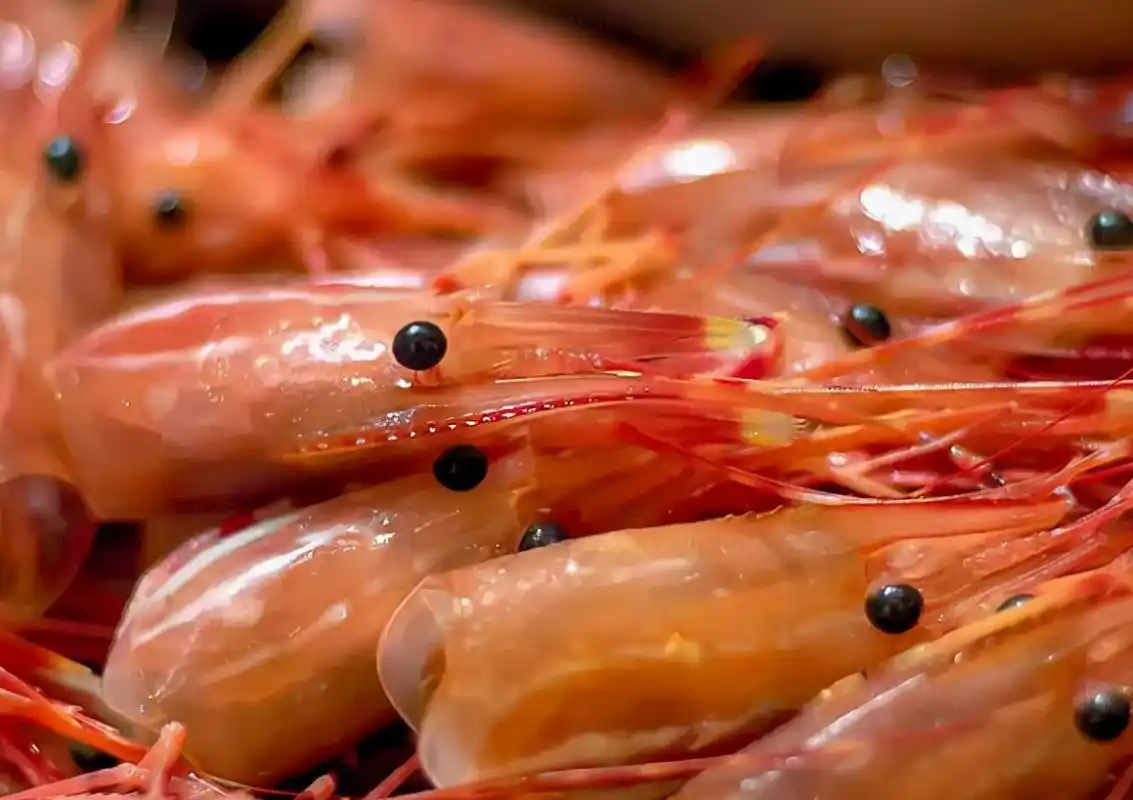 虾头里面是黄还是屎很多人傻傻分不清老吃错