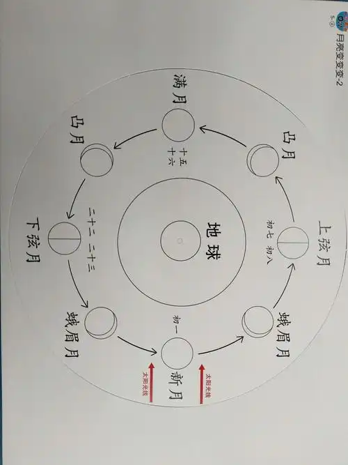 需要注意的是,给月相背景图涂颜色时一定要根据月亮的变化规律来进行