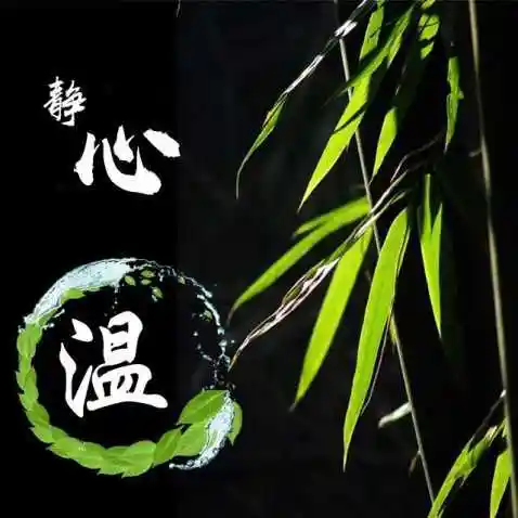 赵丽颖详细资料大全 引导人详细资料大全