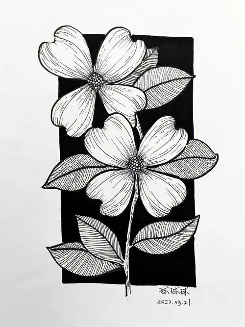 黑白装饰画花卉