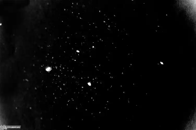 黑底白点 - 堆糖,美图壁纸兴趣社区