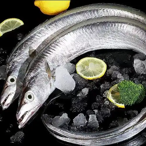 带鱼新鲜冷冻整条特级刀鱼东海小眼油带鱼鲜活速冻海鲜非舟山带鱼