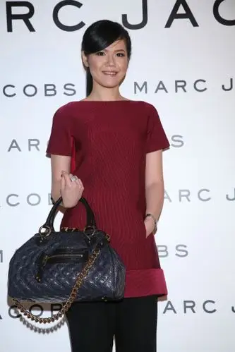 市长千金闪电出阁盘点台政坛四大单身千金4