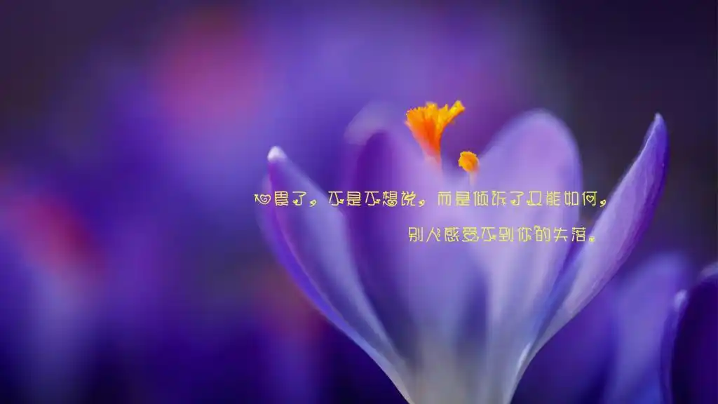 一个人心累了伤感带字图片,高清壁纸图片,非主流-回车桌面