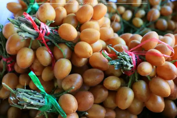 这个月份新鲜的黄皮就陆续上市了,黄皮的果实皮色金黄,果肉嫩滑多汁