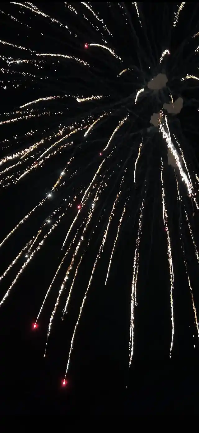 640_1386竖版 竖屏