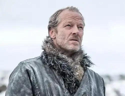 人力资源总监:乔拉·莫尔蒙董事长龙妈的心腹,对龙妈忠心耿耿,让他管