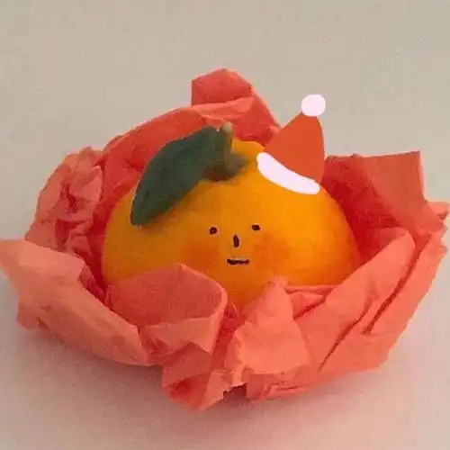 做了一个很可爱的圣诞橘子头像!