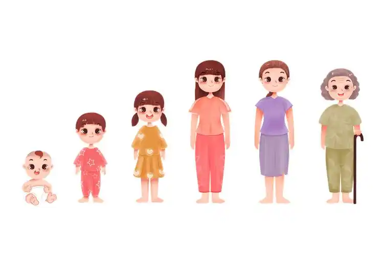 科学人类一生的新陈代谢都在变化会经历两次下降