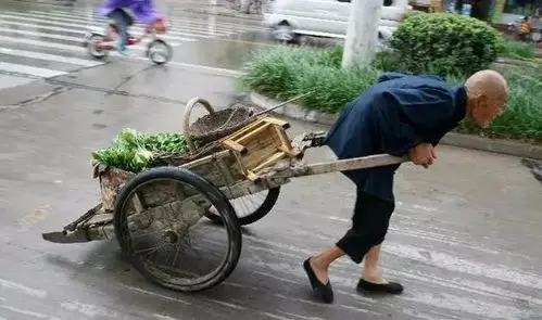 别总是去超市买菜,看完你就明白了!