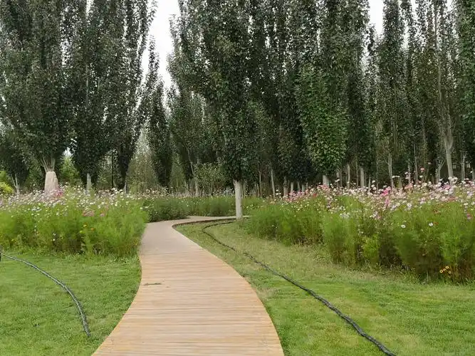 其它 欢声笑语林海公园 写美篇         林海公园,乌拉特前旗以健康为