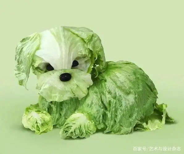 el的创意作品 她把"食物"diy创作 在社交平台吸引了大批粉丝 用蔬菜