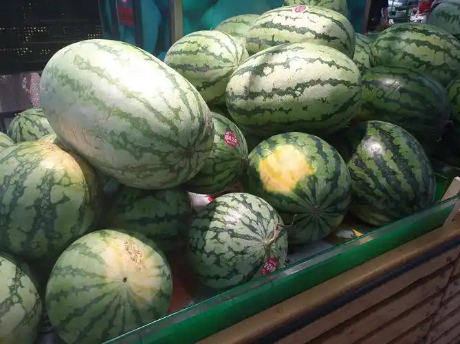 大润发的巨型西瓜