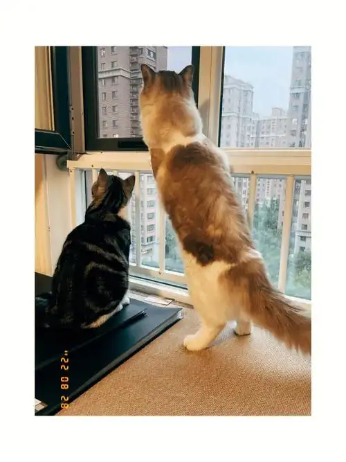 外面的世界很精彩