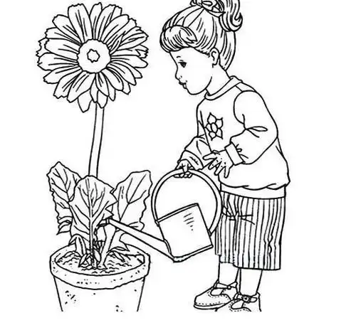 地上种花简笔画