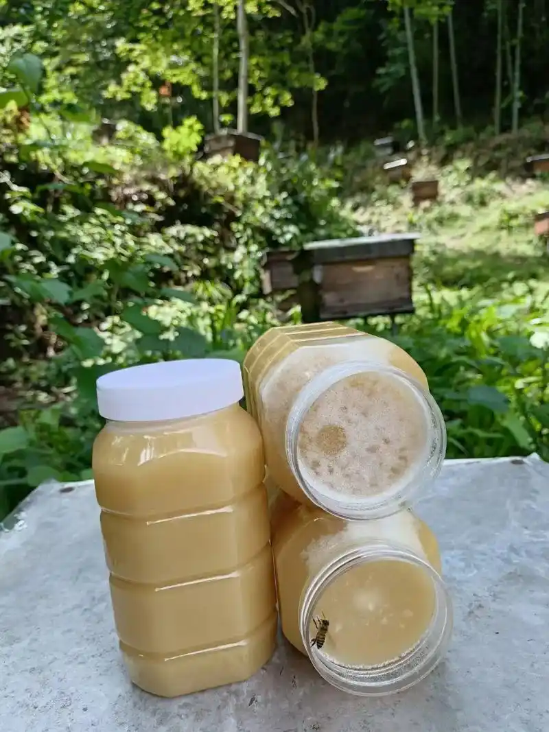 野生蜂蜜.#纯天然野生蜂蜜 #润肺止咳 #纯天然无添加    - 抖音