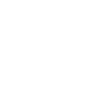 水翅膀 透明翅膀 翅膀