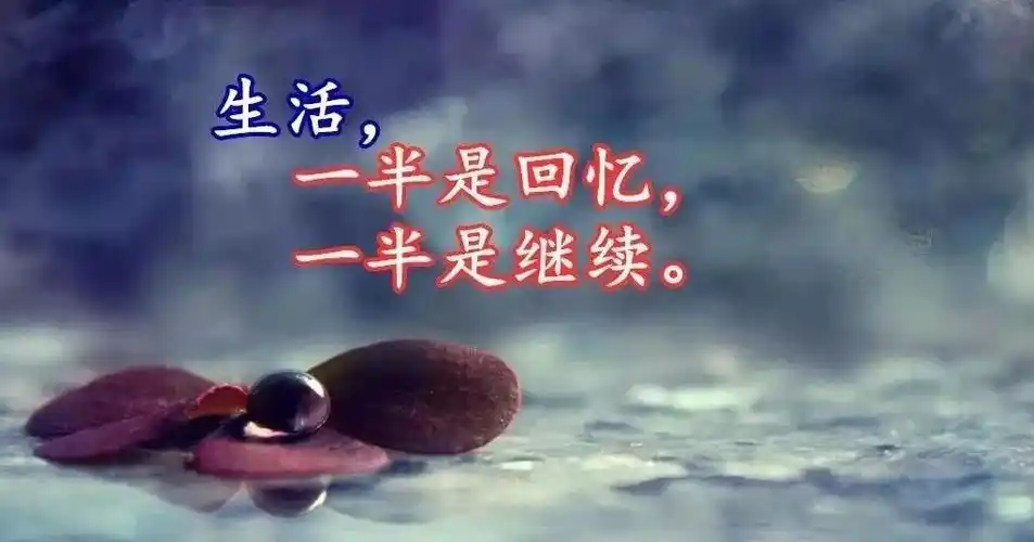 精辟人生感悟句子十句精辟人生感悟句子6字2022已更新今日推荐