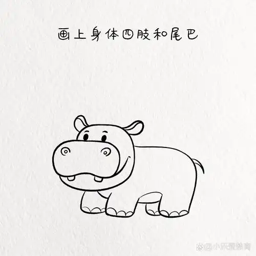 河马简笔画教程 动物简笔画